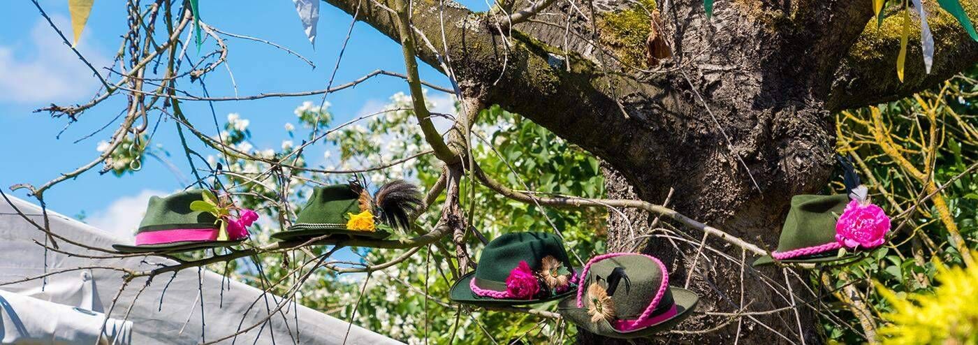 Professionelle Fotografie von Infinity Labs